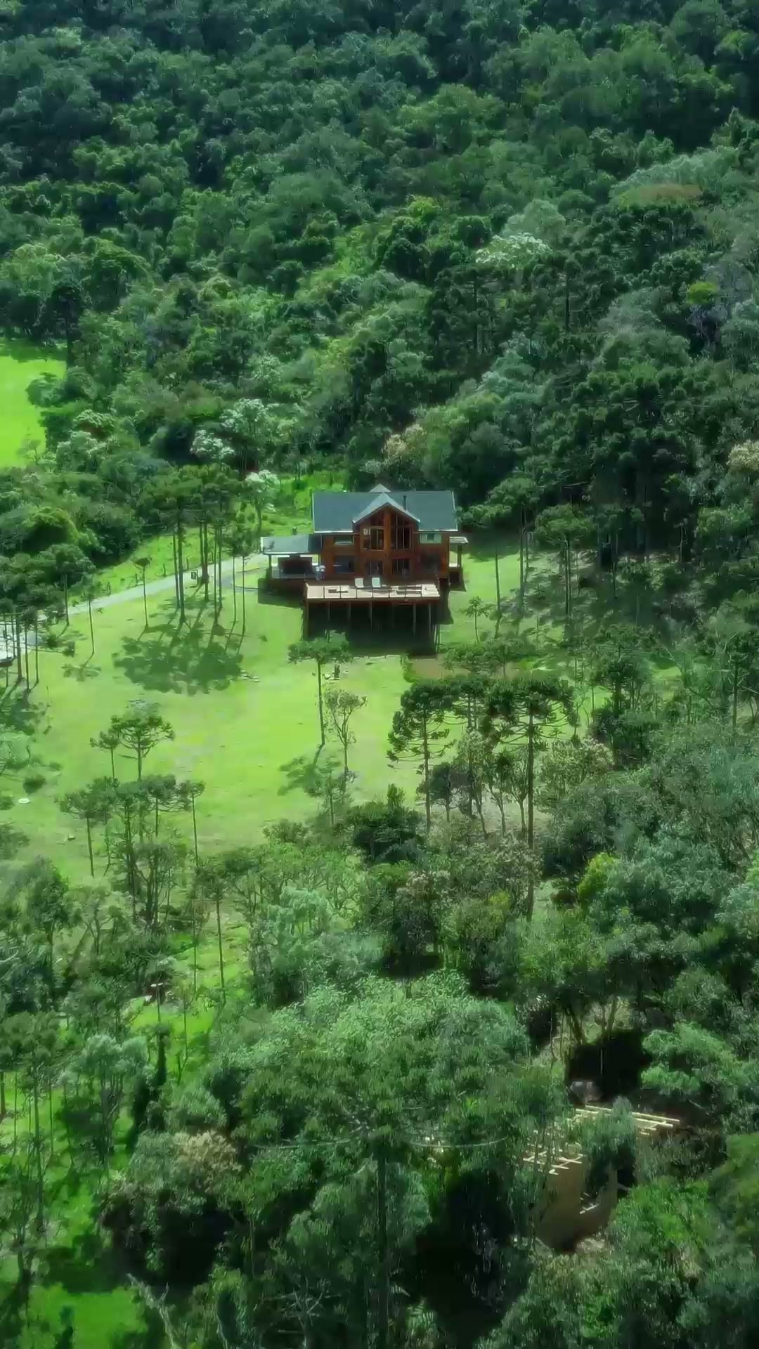 Vista da Casa Aquífero entre as araucárias da Serra Catarinense, em Urubici (SC)
